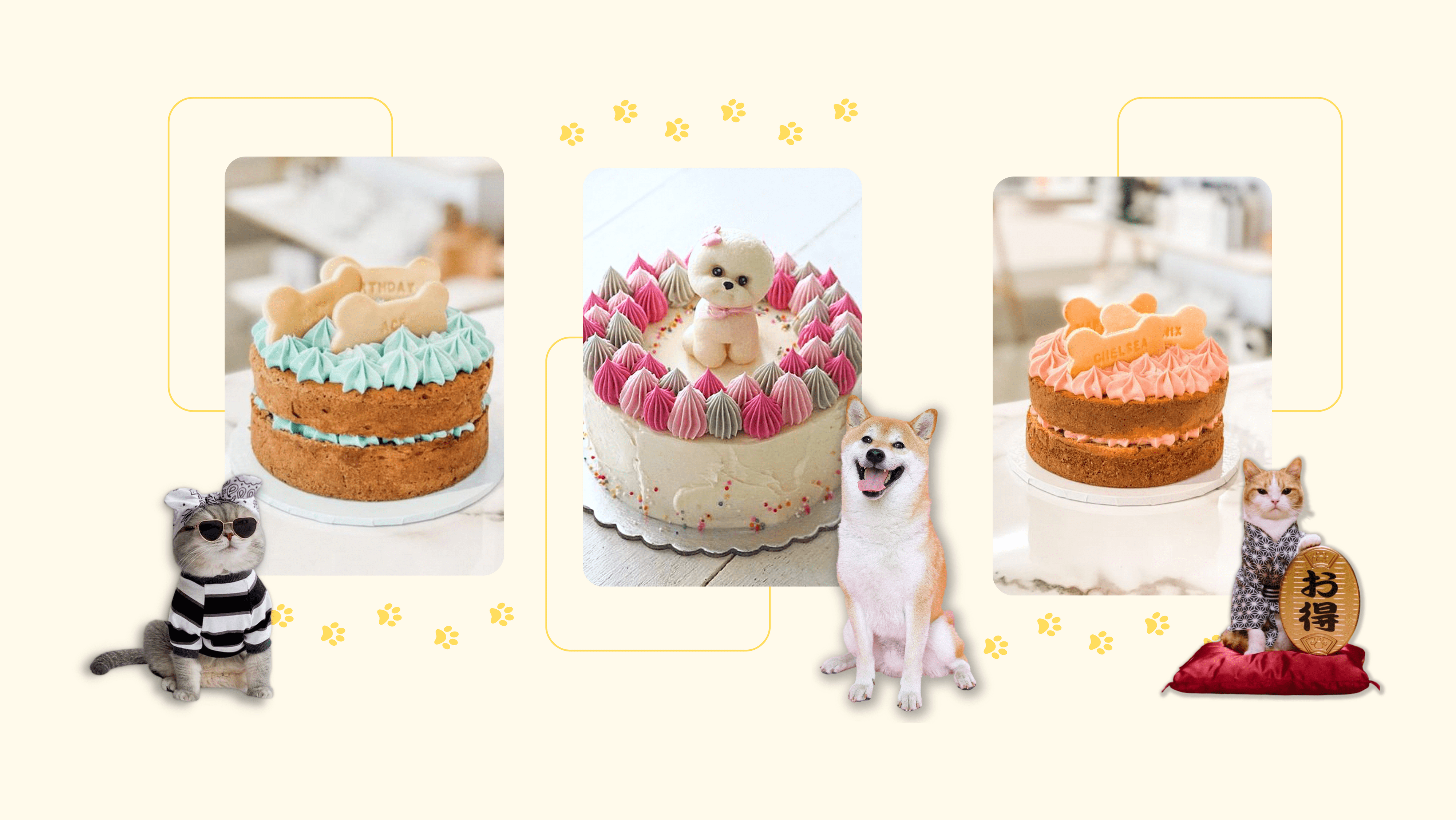 Yuzu Cafe Official Homepage Yuzu Cafe Official Homepage